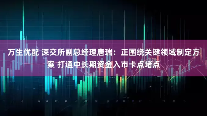 万生优配 深交所副总经理唐瑞：正围绕关键领域制定方案 打通中长期资金入市卡点堵点
