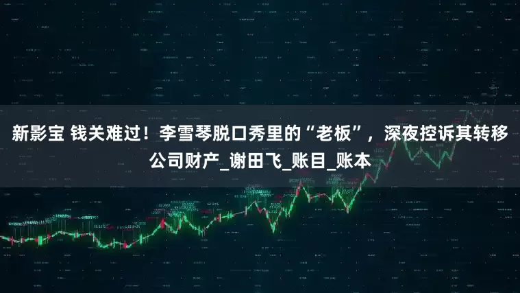 新影宝 钱关难过！李雪琴脱口秀里的“老板”，深夜控诉其转移公司财产_谢田飞_账目_账本