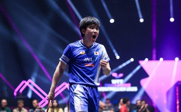 对对配 张本智和击败勒布伦，张本美和击败帕瓦德，都没有太多悬念性